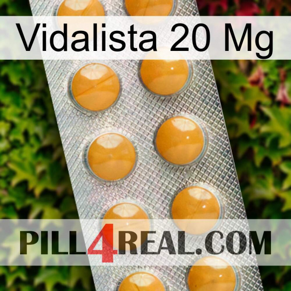 Vidalista 20 Mg levitra1.jpg